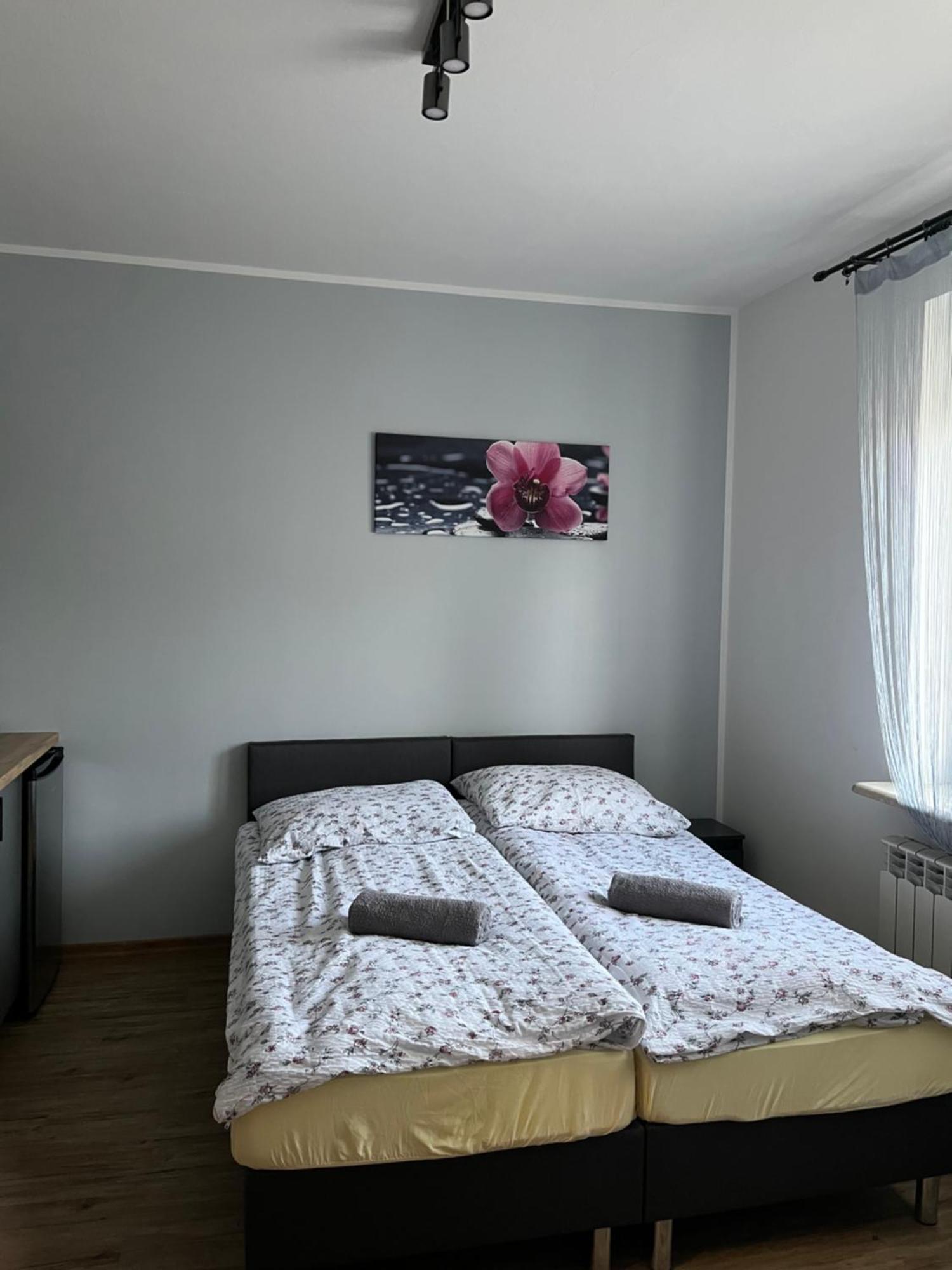 Dom Wypoczynkowy Nad Wisla Pulawy Exterior photo